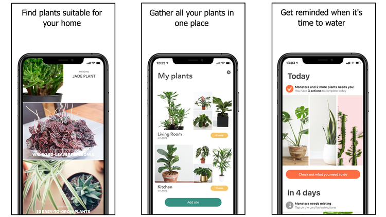 Die 4 besten Pflanzenpflege-Apps