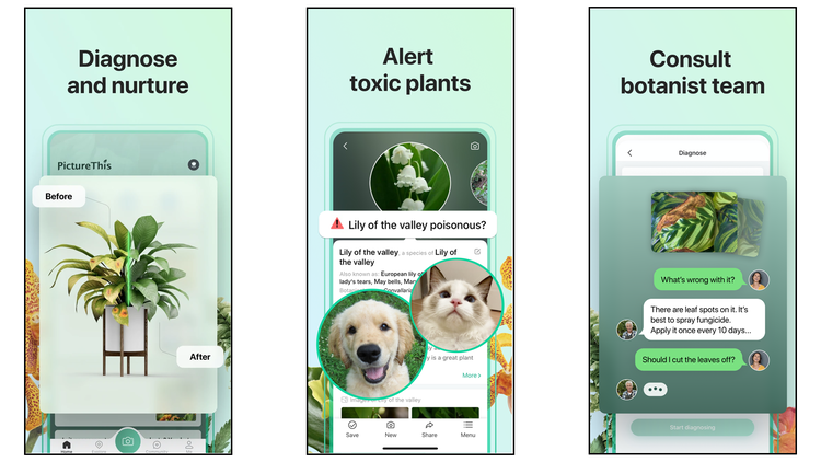 Die 4 besten Pflanzenpflege-Apps